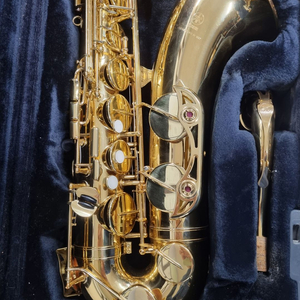 야마하 YTS-380 테너 색소폰 이미지