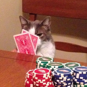 알로항 머니 싸게 팝니다 이미지