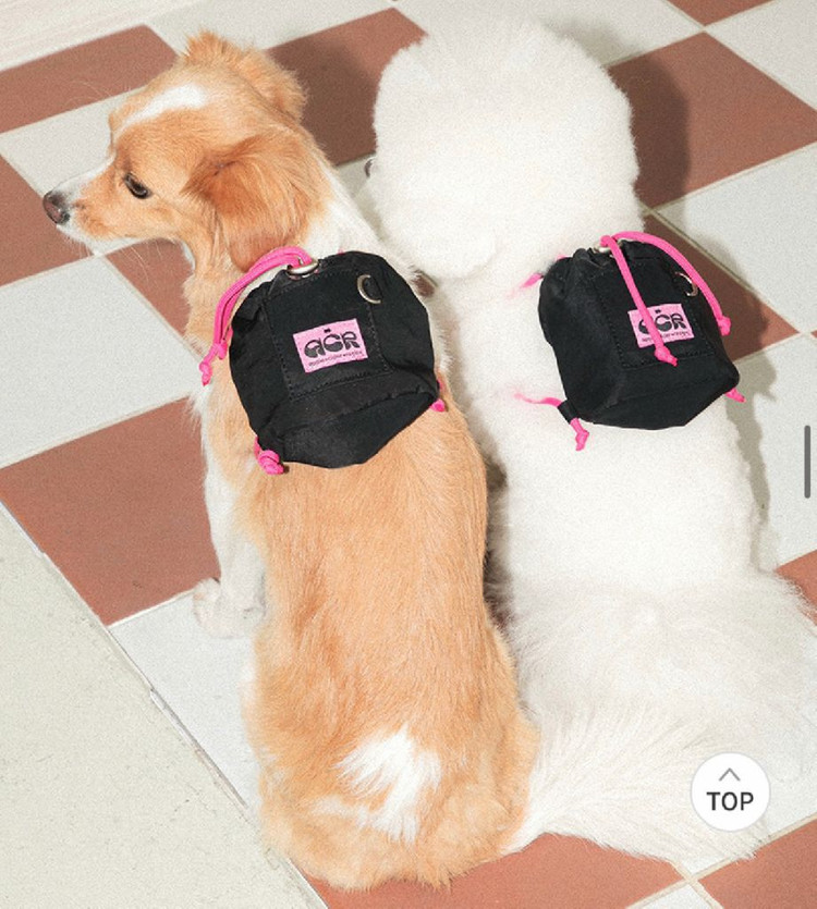강아지용품) 애플사이다레시피 강아지백팩, 패커블백팩 개당금액 이미지