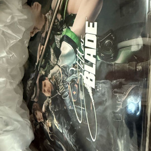 스텔라블레이드 LP 이미지