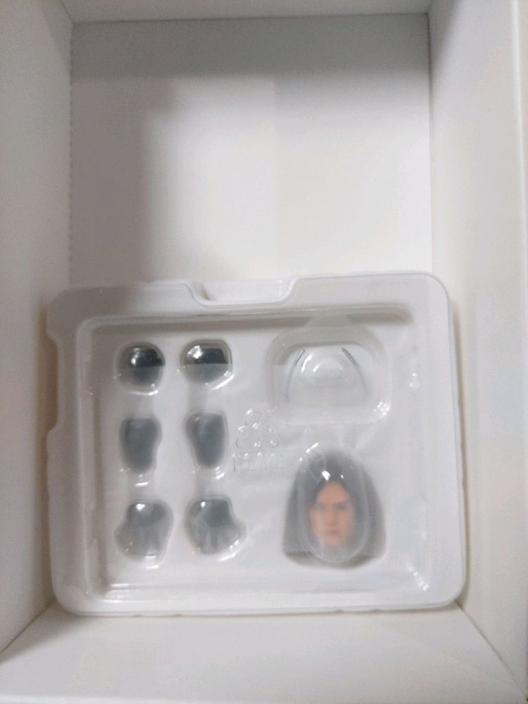 shf 가면라이더 the next 2호 이치몬지 하야토 진골조제--2