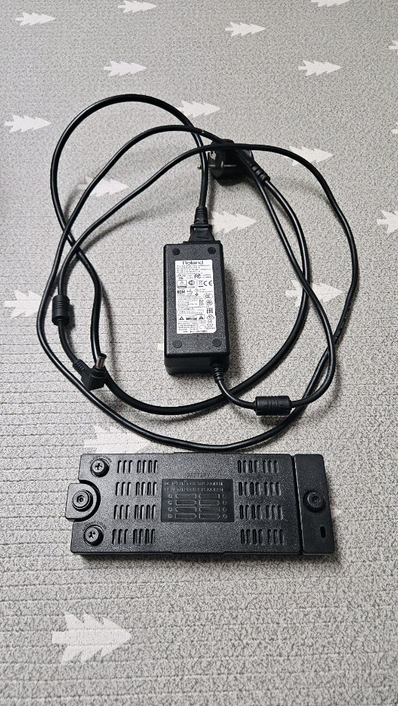 롤랜드 큐브 스트리트 EX 버스킹 앰프 스피커 2대 일괄 판매 이미지