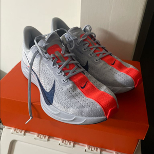 러닝화 나이키 페가수스 플러스 270