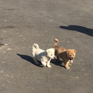 대성패스 (대성마이맥)랑 메가스카디 공유하실 분 계신가요오ㅠ 이미지