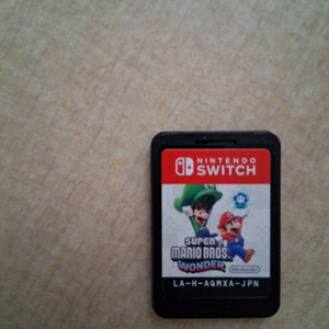 슈퍼 마리오 브라더스 원더 게임칩