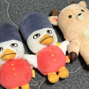 라이즈 공굿 비공굿 랜박 똘병이 송용돌이 우락밤 토냥덕 멍룡이 이미지