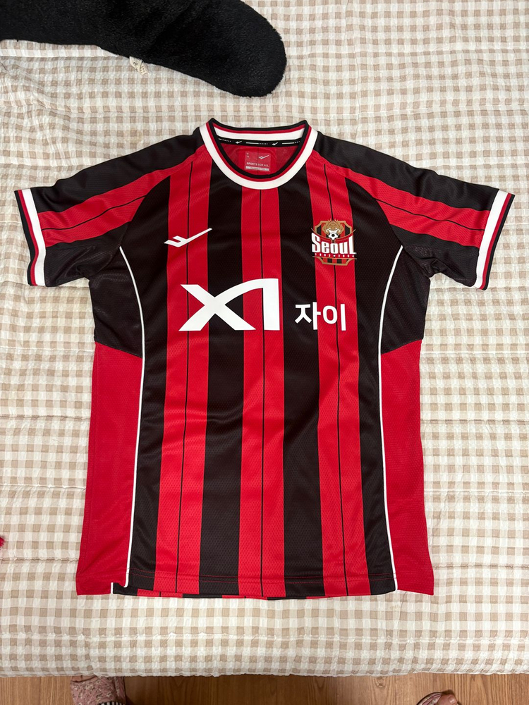 fc서울 유니폼 25써드 린가드 95사이즈 M (김진수 싸인) 이미지