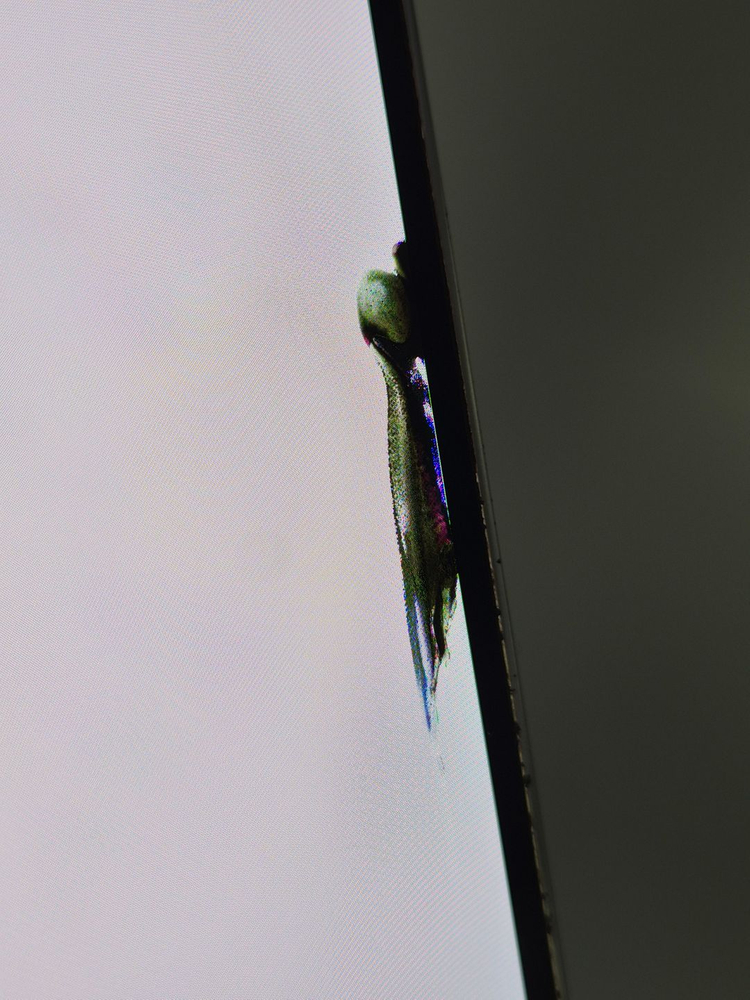 [배송][ 01476 ]갤럭시 S23 플러스_256G 31.2만 이미지