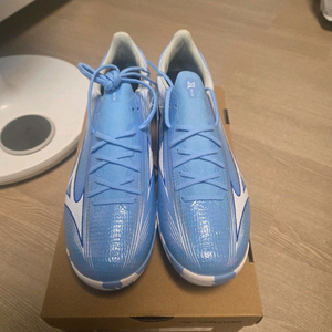 미즈노 알파3엘리트as(285mm) 이미지