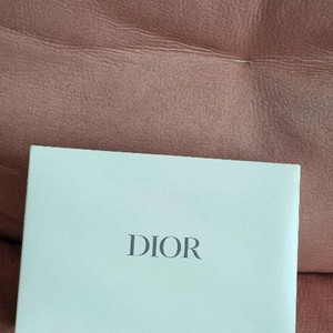 디올패딩파우치 이미지