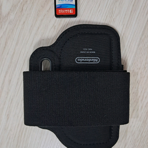 닌텐도 스위치 스포츠 알칩