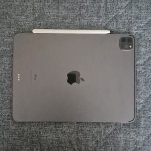 (급처) 아이패드 프로 11인치 2세대 256gb