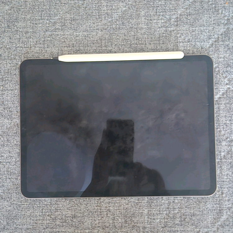 (급처) 아이패드 프로 11인치 2세대 256gb--1