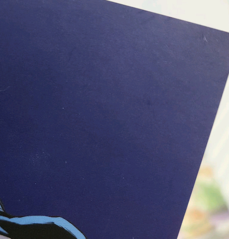 블리치 블리치전 토시로 굿즈 양도--1