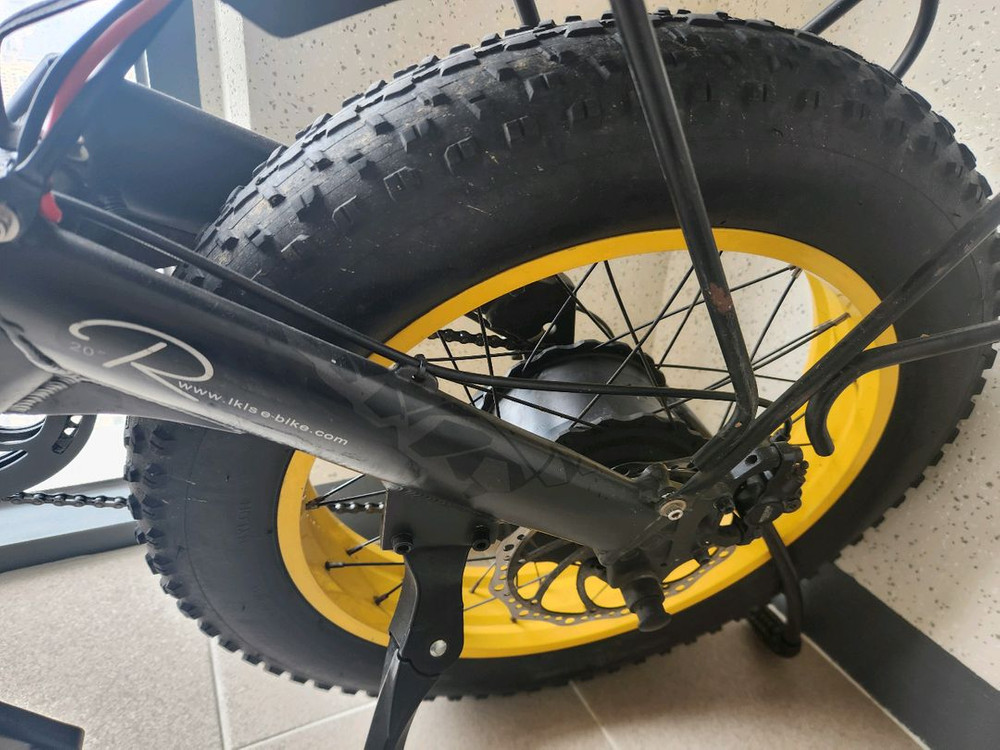 랑케레이시 X3000plus 전기자전거, 자토바이--2