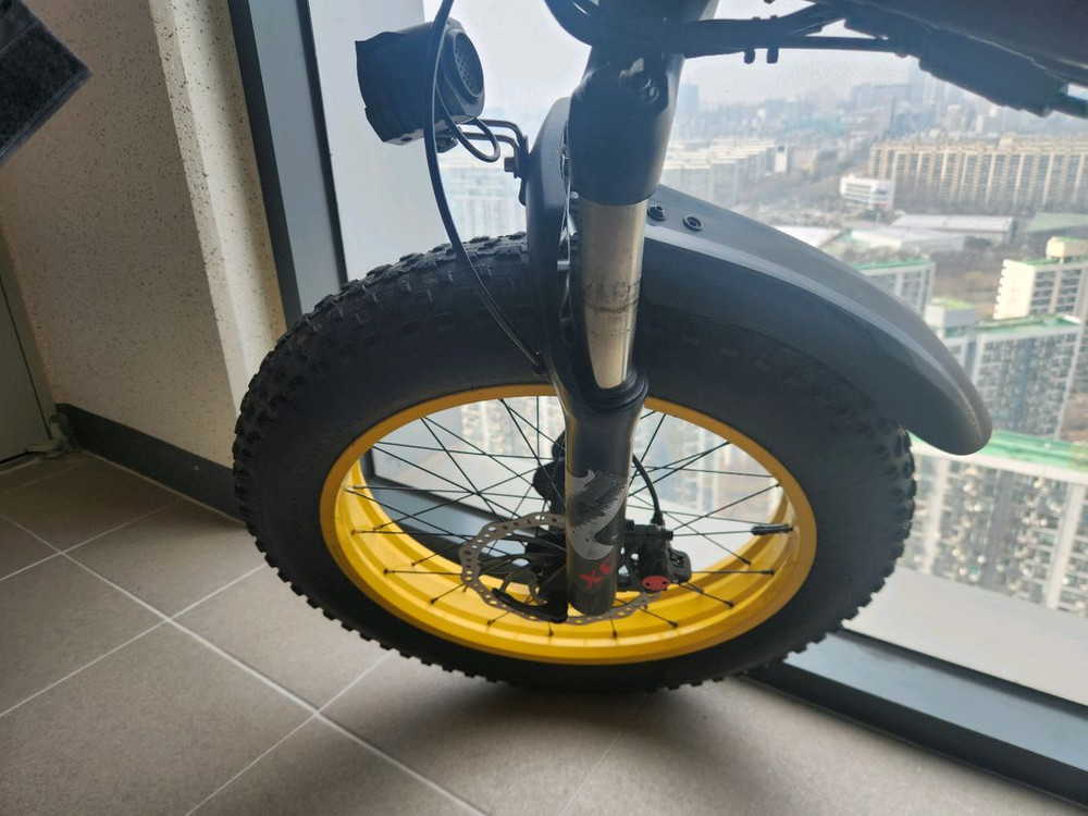 랑케레이시 X3000plus 전기자전거, 자토바이--3