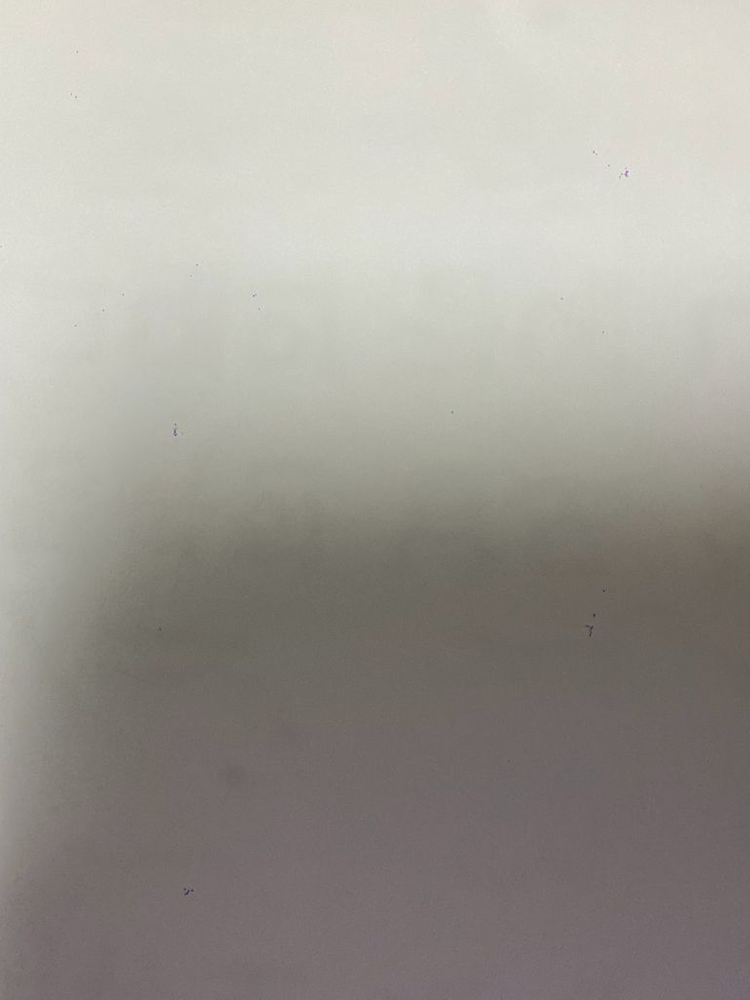 아이폰 11 Pro 미드나이트 그린 256G 풀박스--5