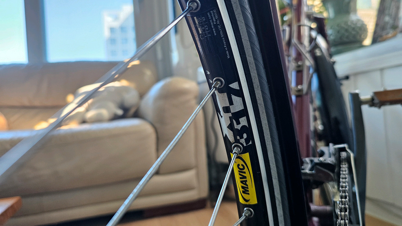 설리 디스크 트럭커 자전거--8