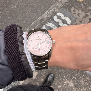 (판/교) 그랜드세이코 핑크송이(SBGA497)