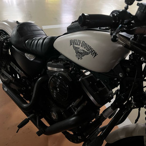 할리데이비슨 아이언883 순정 크림색 개인 이미지