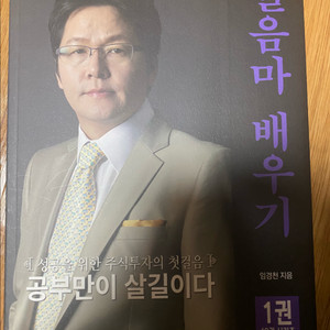 임경천 초절정매집차트 주식책