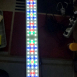 센트로c5rgb어항조명900