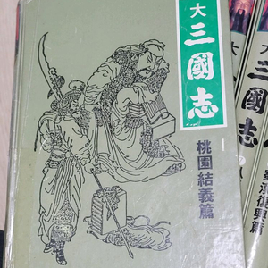 대삼국지 전집 10권 세트 (청화출판사)