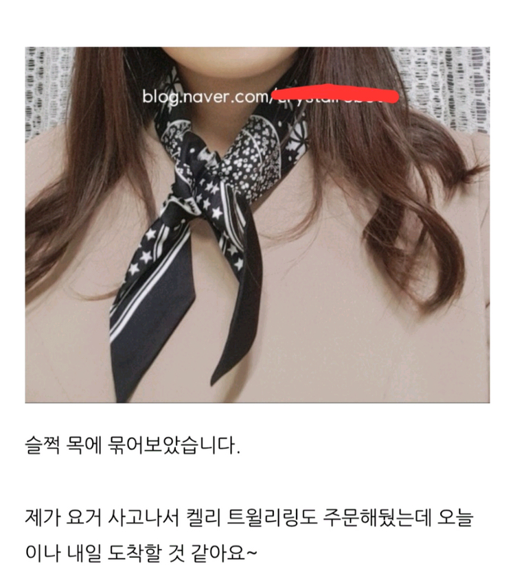 에르메스 트윌리 스카프 방도컨피덴셜 머플러테수토호보백아바백크로스백구찌디올프라다에르메스셀린느샤셀생로랑--3