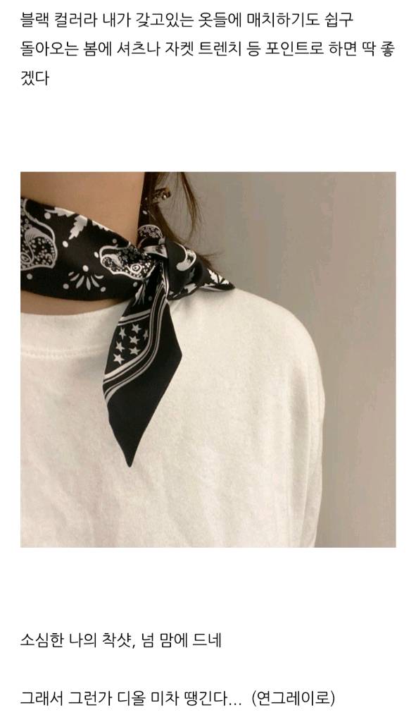 에르메스 트윌리 스카프 방도컨피덴셜 머플러테수토호보백아바백크로스백구찌디올프라다에르메스셀린느샤셀생로랑--4