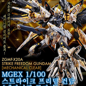 [미개봉] MGEX 1/100 스트라이크 프리덤 건담 메카니컬 클리어 이미지