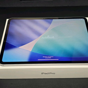 아이패드프로11 M4, 256/wifi, 실버 [배터리100%]