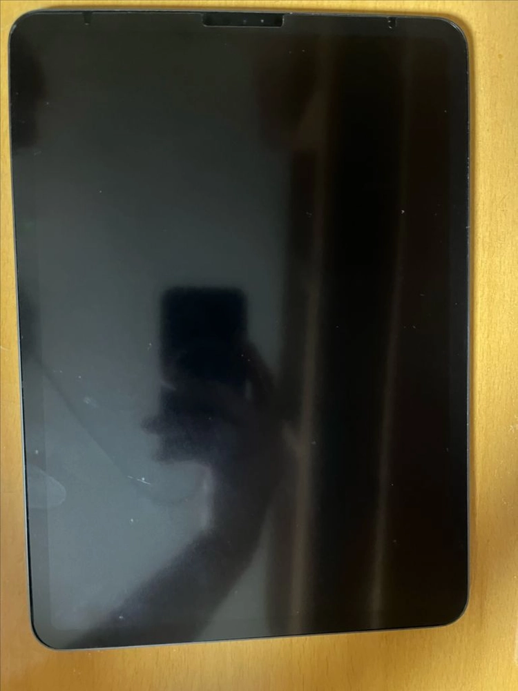 아이패드 프로 1세대 이미지