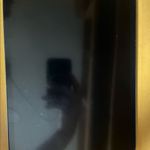 아이패드 프로 1세대 이미지