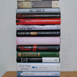 히가시노게이고 소설