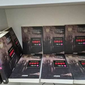 천룡팔부(1~10) 완결(소장용)