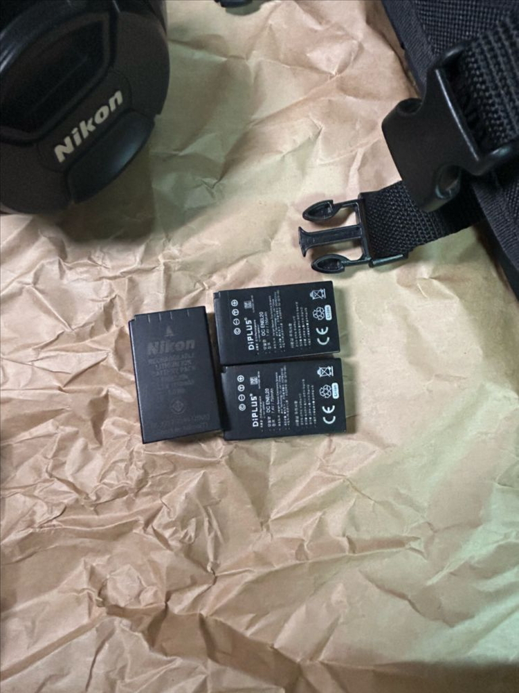 니콘P1000 이미지