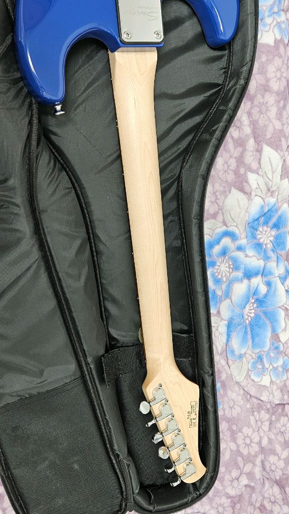 스윙 일렉기타 팝니다 이미지