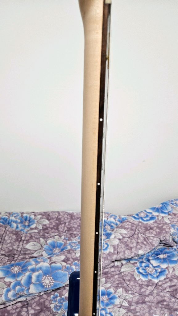 스윙 일렉기타 팝니다 이미지