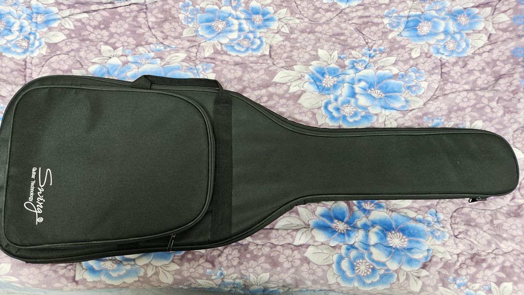 스윙 일렉기타 팝니다 이미지