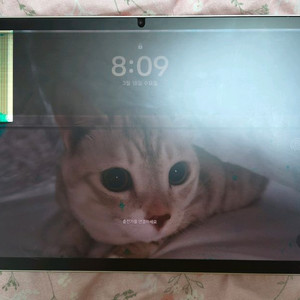 갤럭시탭 S9 wifi 128G 풀박스+새 필름 1장&커버케이스 싸게 팝니다(쿨거시 네고가능, 다음주에 글 내려요)