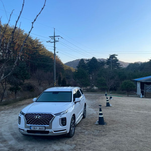 현대 펠리세이드 3.8 가솔린 캘리그라피 4wd 판매 이미지