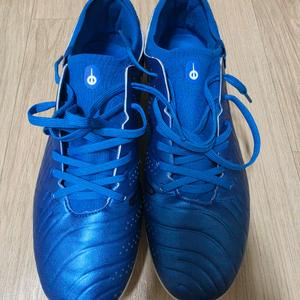 나이키 티엠포 프로 AG(270) 판매