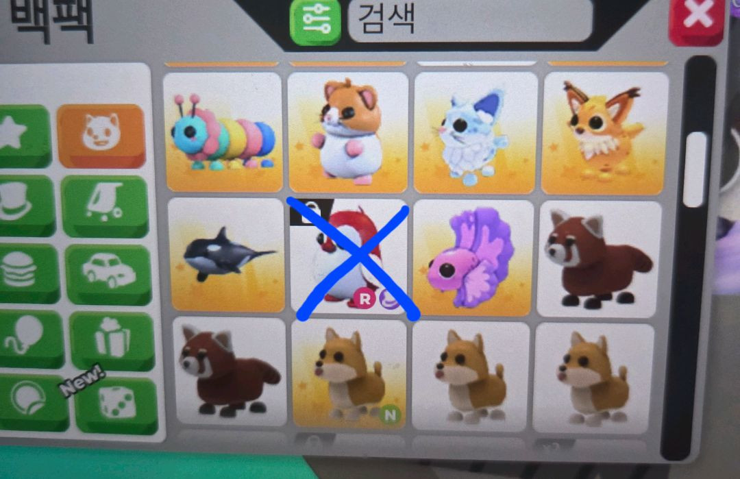 입양하세요 펫 판매합니다(네유,북극곰,푸강 등등) 이미지