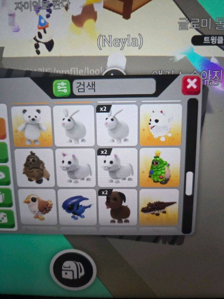 입양하세요 펫 판매합니다(네유,북극곰,푸강 등등) 이미지