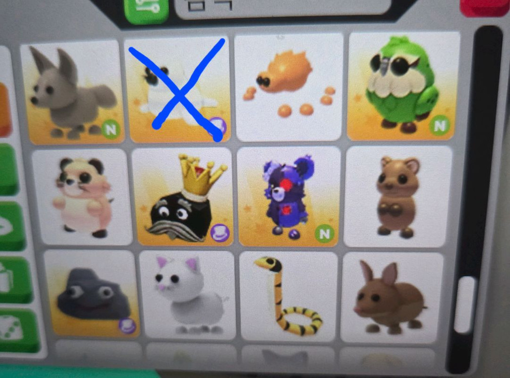 입양하세요 펫 판매합니다(네유,북극곰,푸강 등등) 이미지