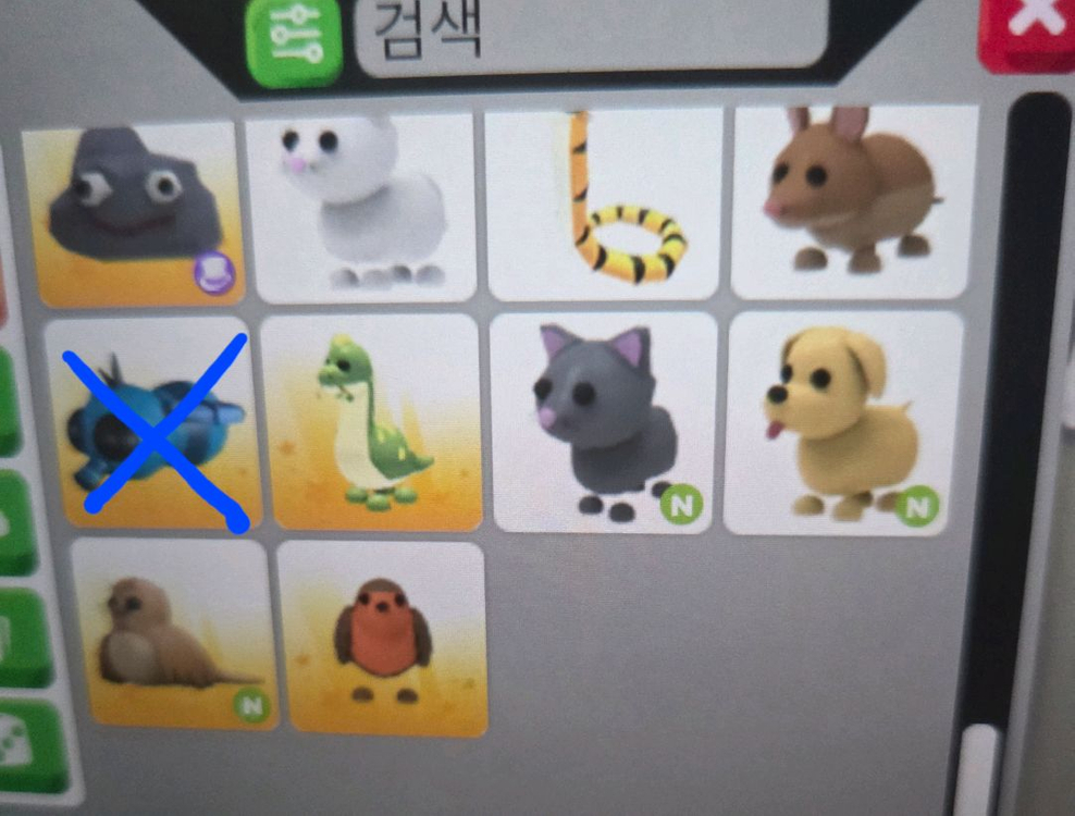 입양하세요 펫 판매합니다(네유,북극곰,푸강 등등) 이미지