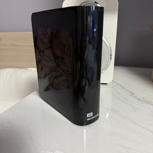 WD 웬디 외장하드 10TB