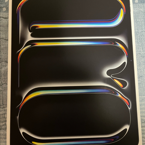 아이패드 프로 13 M5 셀룰러 256GB