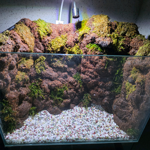 팔루다리움 어항 45 30 32 아쿠아가든 올디아망 어항