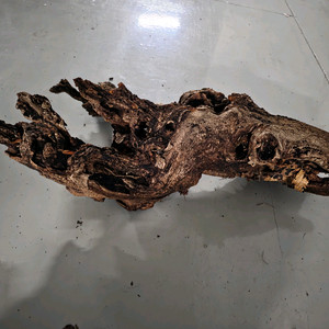 수초 어항 장식용 뿌리 유목